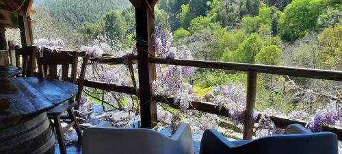 a room with a window with a view of a flowering tree at Casinha do México in Gondramaz