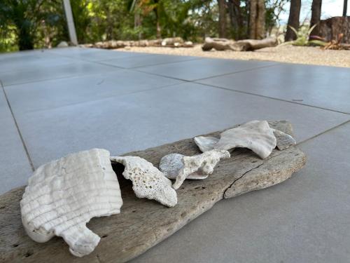 a sculpture of two turtles sitting on a piece of wood at Amaj Eco Lodge in Sámara