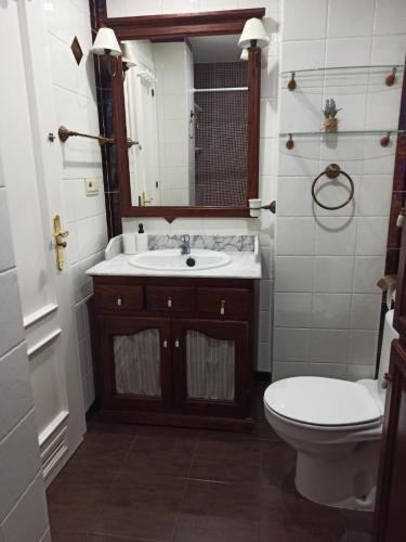 a bathroom with a sink and a toilet and a mirror at Apartamento la Noria 2 Playa in San Luis de Sabinillas