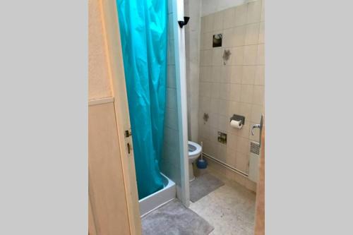 La salle de bains est pourvue de toilettes et d'un rideau de douche bleu. dans l'établissement Appart T2 Prefecture et Centre Ville, au Mans