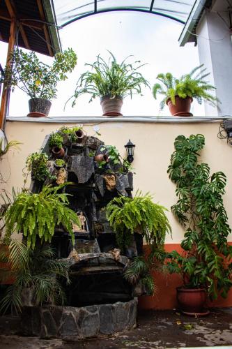 Zahrada ubytování Hotel Los Laureles