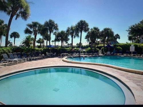 a large swimming pool with chairs and palm trees at Harbor Towers Yacht and Racquet Club on Siesta Key in Sarasota