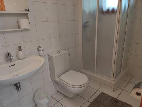 a bathroom with a toilet and a shower and a sink at Casa Grace in Brione