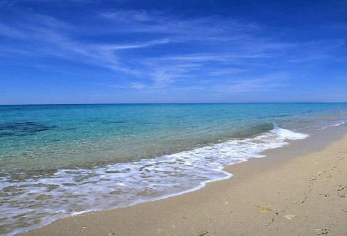 a beach with the ocean and a blue sky at Home sweet Home in Metaponto