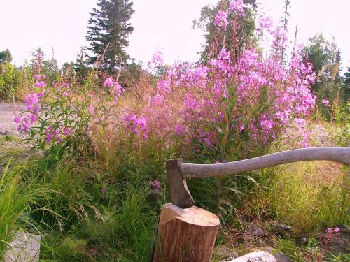 Gallery image of Whispering Woods AK Cabins in Kasilof