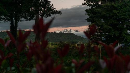 a mountain in the distance with red flowers in the foreground at Two Rivers Ohakune - Boutique Bed and Breakfast in Ohakune
