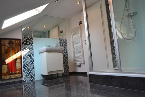 a bathroom with a shower and a sink and a mirror at Loft Apartments Pulheim in Pulheim