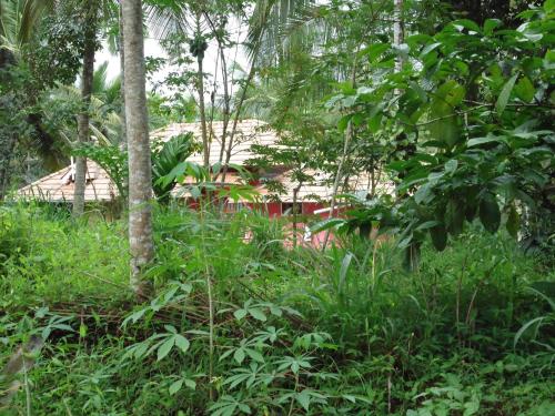 a forest of trees and plants with a house in the background at Spice Garden Farm house in Sultan Bathery