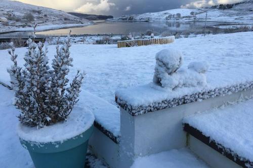 a snow covered yard with a potted plant at The Causeway in Bracadale