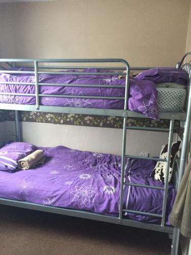 een paar stapelbedden met paarse lakens bij 2 bed dog friendly chalet on sunbeach Scratby in Great Yarmouth