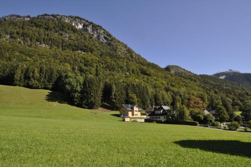 a house in a field in front of a mountain at Ferienwohnungen Holzidylle in St. Wolfgang