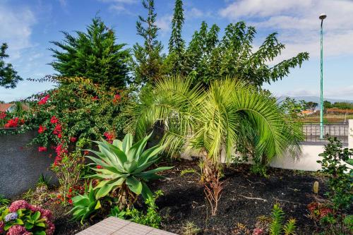 un jardín con palmeras y otras plantas en Rainbow Guest House, en Madalena