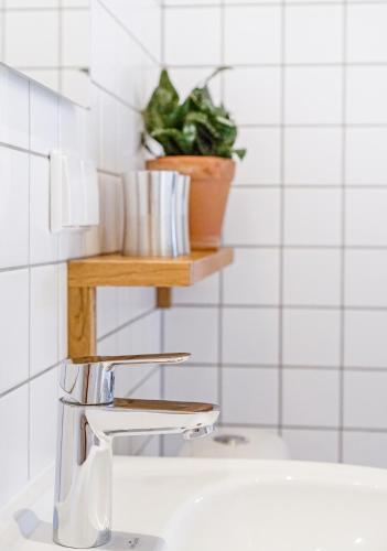 a bathroom sink with a faucet and a plant on a shelf at Vēju Paradīze in Pāvilosta