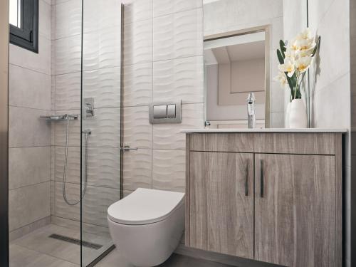 a bathroom with a toilet and a sink and a mirror at Minas Sublime Villa, a Magical Sanctuary, By ThinkVilla in Kipseli