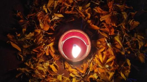 a red light in the middle of a pile of leaves at Best Hostel in Kathmandu