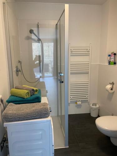 a bathroom with a shower and a toilet at Appartement im Herzen von Leimen in Leimen