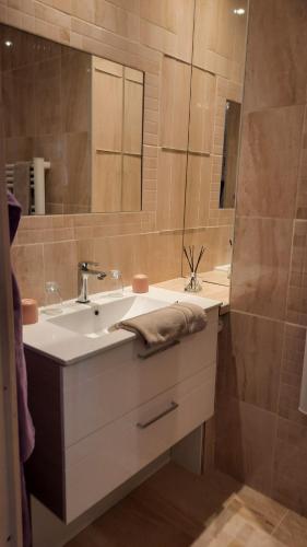 a bathroom with a sink and a shower with a mirror at " Le Cher Passant " in Savonnières