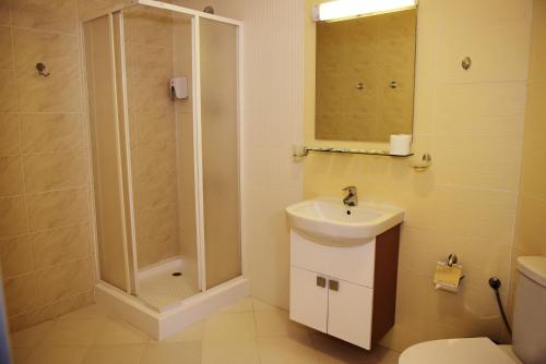 a bathroom with a shower and a sink and a toilet at Forest Nook Aparthotel in Pamporovo