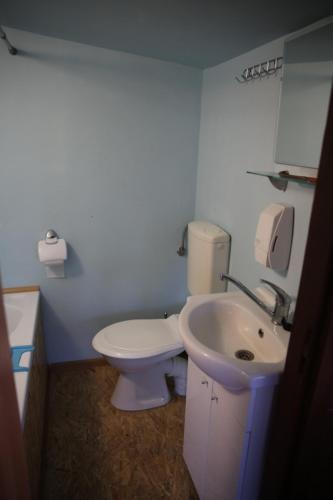 een badkamer met een wit toilet en een wastafel bij Domek letniskowy in Dybowo
