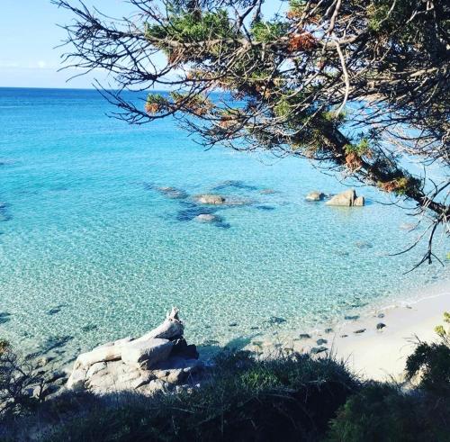 una spiaggia con alcune rocce e l'acqua di Villa Sardinia Seaview&SPApool a Portu sa Ruxi