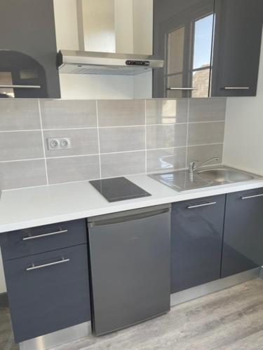 une cuisine avec un évier et un plan de travail dans l'établissement EVASION DE LOIRE, à Jargeau