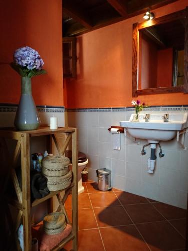 een badkamer met een wastafel en een toilet bij El pajar de Inés in La Orotava