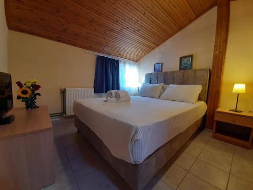 Gallery image of Hotel Flesvos in Pefkohori