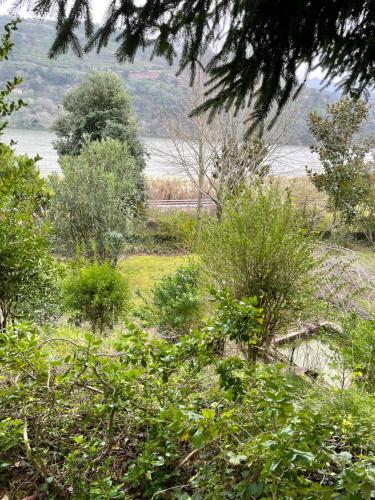 Φωτογραφία από το άλμπουμ του Quinta das Fragas Casa 10 Pessoas σε Baião