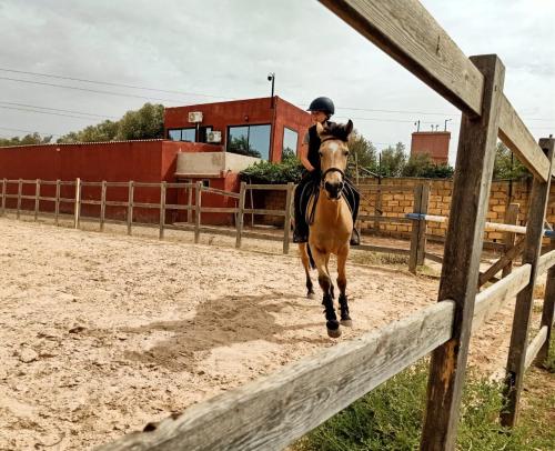 a person riding a horse jumping over a fence at Equi Palace & SPA Near Aeroport in Berrechid