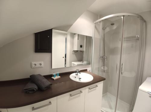 Koupelna v ubytování Apartamento Goxoa
