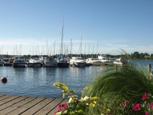 a marina with boats in the water and flowers at Tammisaaren Kaupunginhotelli in Tammisaari