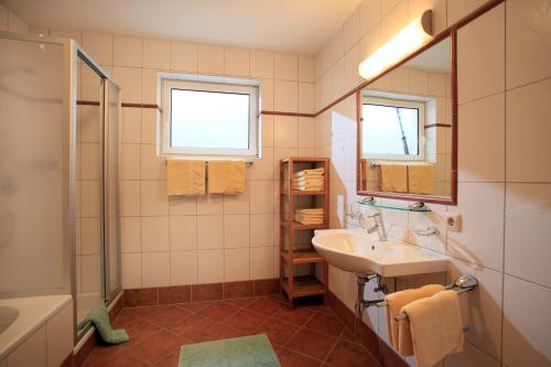 ein Bad mit einem Waschbecken und einer Dusche in der Unterkunft Appartement Lisa Schweiger in Kirchberg in Tirol