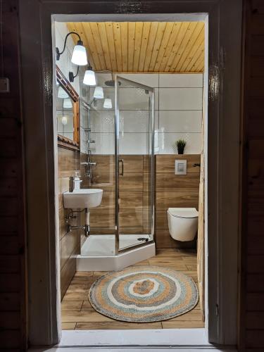 a bathroom with a shower and a sink at Agroturystyka Bora Zdrój in Narewka