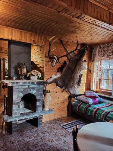 a living room with a fireplace in a log cabin at Agroturystyka Bora Zdrój in Narewka