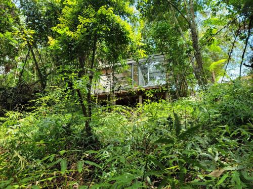 a building in the middle of a forest at BOSQUE EL DESCANSO in Jamundí