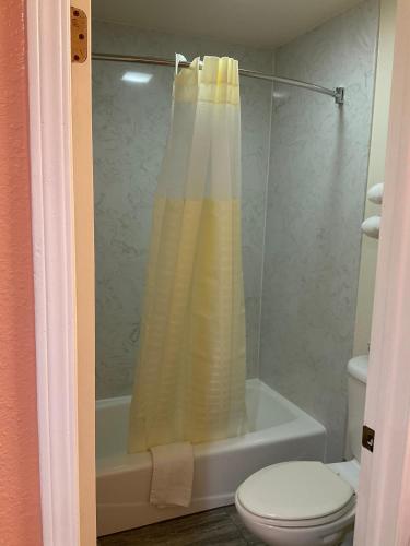 a bathroom with a shower curtain and a toilet at Budget Motel in Mountain View