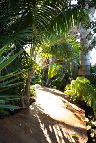 Κήπος έξω από το Palm Garden Papamoa Beach Paradise