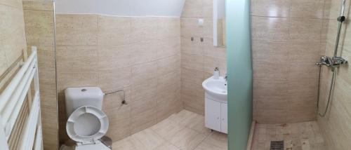 La salle de bains est pourvue de toilettes et d'un lavabo. dans l'établissement Izvorul Prigoanei, à Tău Bistra