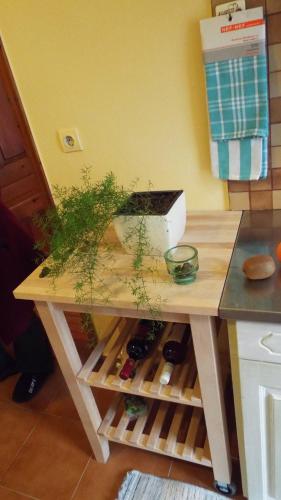 a table in a kitchen with a counter top with a plant on it at center apartments in Lefkada Town