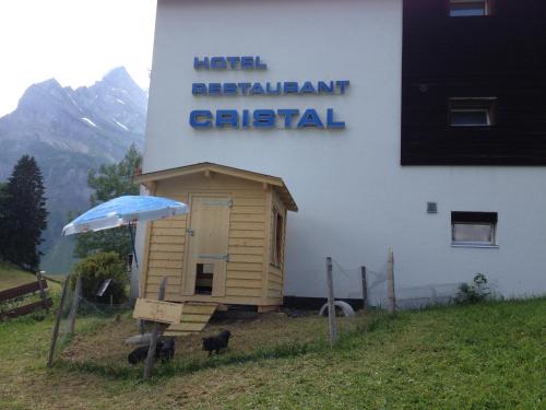 a small dog house in front of a building at Hotel Restaurant Cristal in Braunwald