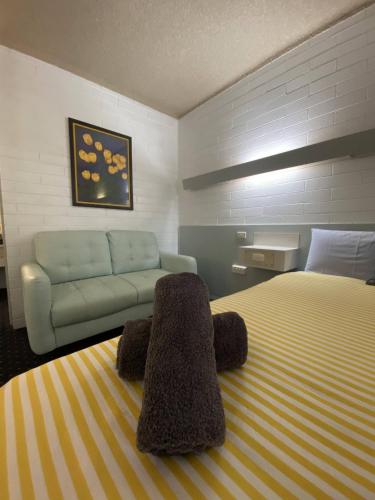 a hotel room with a bed and a couch at Capri Motel in Balranald