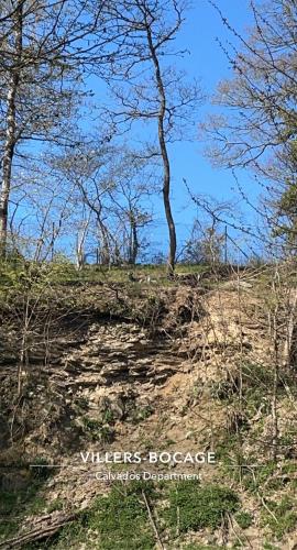 a dirt field with trees and a blue sky at Les 3 rois by YY in Villers-Bocage