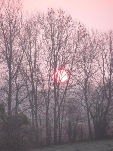 a red clock in the middle of some trees at La Bergerie du festel in Saint-Riquier