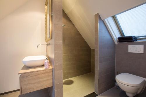 a bathroom with a toilet and a sink at Bed & Breakfast De Vier Seizoenen in Lisse