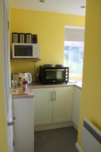 uma cozinha com um micro-ondas e um micro-ondas em The Garden Room Westcott em Westcott