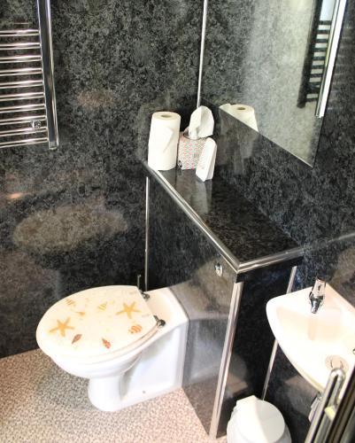 a bathroom with a toilet and a sink at The Garden Room Westcott in Westcott