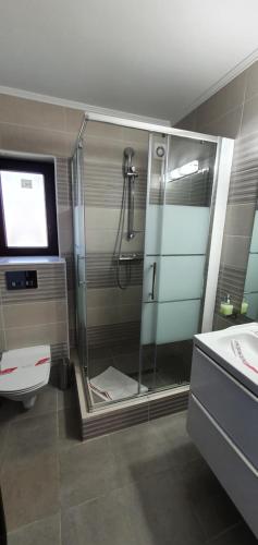ガラツィにあるMotel Didona Bのバスルーム(シャワー、トイレ、シンク付)