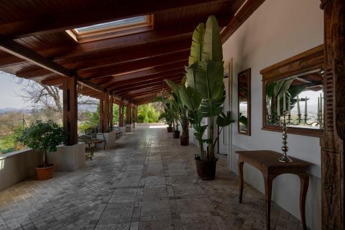 a hallway with potted plants in a building at La Locanda Del Pontefice - Luxury Country House in Castel Gandolfo