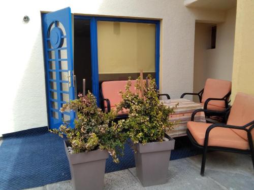 a conference room with a table and chairs and plants at Guest House Isidora in Arilje