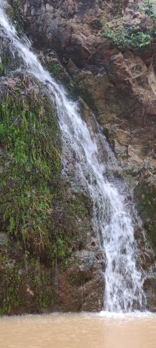 Un paisaje natural cerca del hotel